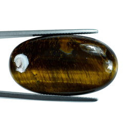 TIGER EYE QUARTZ OVAL CAB 32X18MM 32.75 Cts.