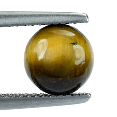 YELLOW TIGER'S EYE QUARTZ ROUND CAB 8MM 2.32 Cts.