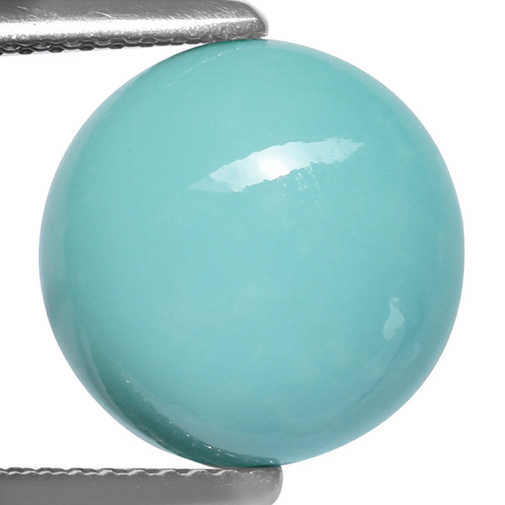 TURQUOISE ROUND CAB (FLAT) 12MM 4.71 Cts.