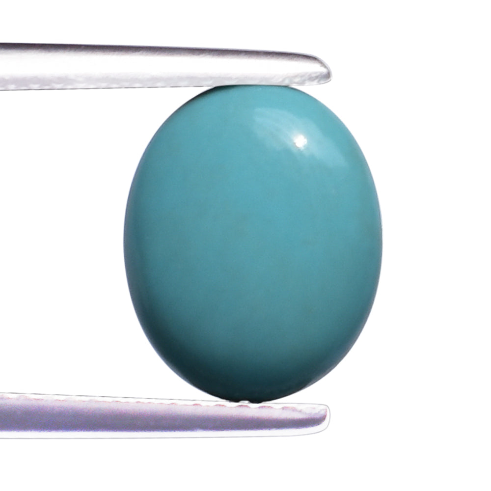 TURQUOISE LENTIL OVAL (H/D) 12X10MM 4.93 Cts.