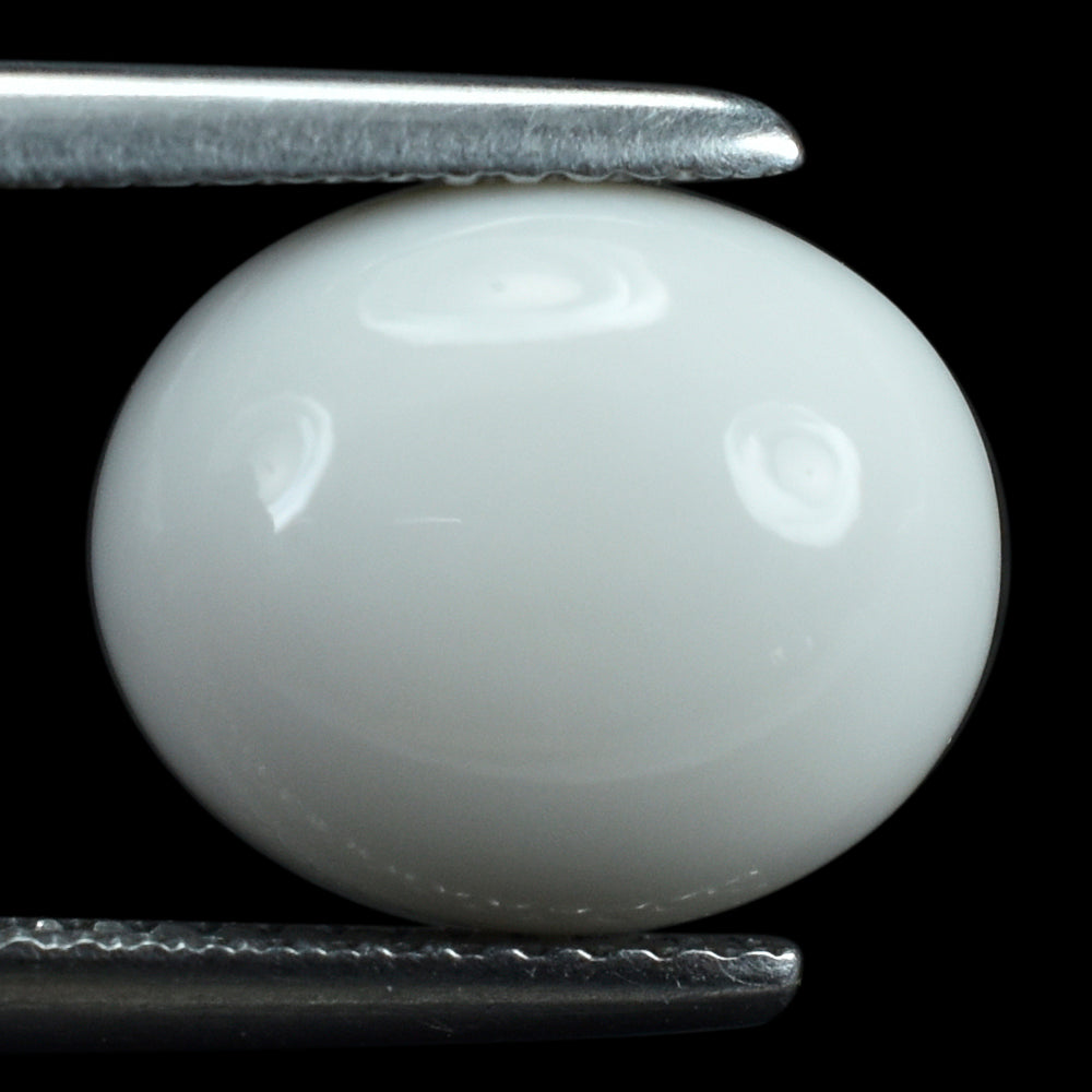 WHITE AGATE PLAIN OVAL CAB (KOGOLONG) 12X10MM (TH. 5.00-5.40MM) 4.88 Cts.