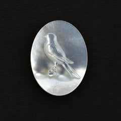 MOTHER OF PEARL WHITE MULTIPLE CARVING OVAL CAMEO (WHITE)(CLEAN) 20.00X15.00 MM 5.08 CTS