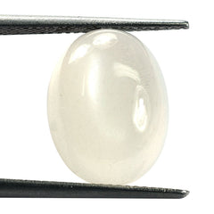 WHITE MOONSTONE PLAIN OVAL CAB 15X11.50MM 6.76 Cts.