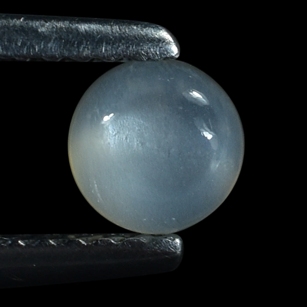 WHITE MOONSTONE PLAIN ROUND CAB (MILKY) 5.00X5.00 MM 0.46 Cts.