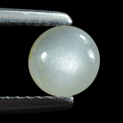 WHITE MOONSTONE (MILKY) LENTIL ROUND 6.00X6.00 MM 0.74 Cts.