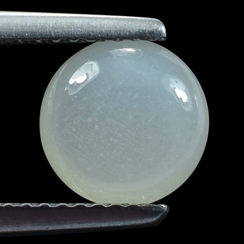 WHITE MOONSTONE (MILKY)  LENTIL ROUND 8.00X8.00 MM 1.58 Cts.