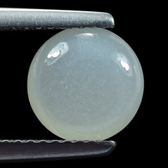 WHITE MOONSTONE (MILKY)  LENTIL ROUND 8.00X8.00 MM 1.58 Cts.