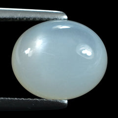 WHITE MOONSTONE (MILKY) PLAIN OVAL CAB 12.00X10.00 MM 4.95 Cts.
