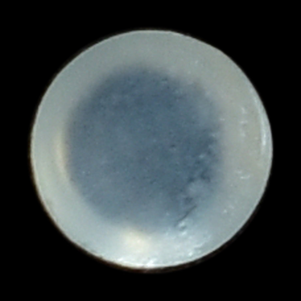 WHITE MOONSTONE (MILKY)  PLAIN ROUND CAB 2.00X2.00 MM 0.04 Cts.