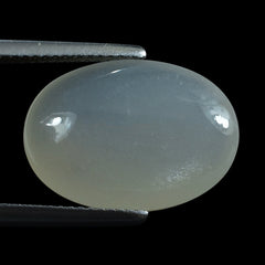 WHITE MOONSTONE (MILKY)  LENTIL OVAL 18.00X13.00 MM 8.82 Cts.