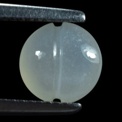 WHITE MOONSTONE (MILKY) LENTIL WITH CARVED BELT 8.00X8.00 MM 1.74 Cts.