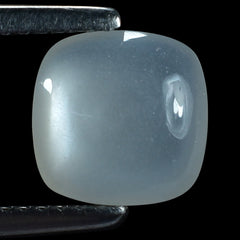 WHITE MOONSTONE (MILKY) LENTIL CUSHION 8.00X8.00 MM 1.81 Cts.