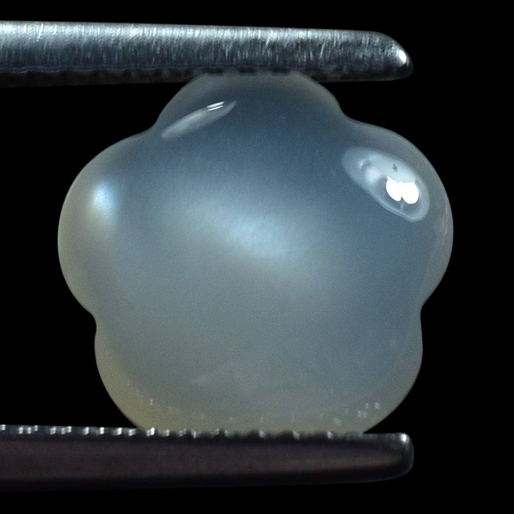 WHITE MOONSTONE (MILKY) LENTIL FLOWER 10.00X10.00 MM 2.79 Cts.