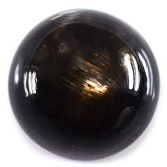 BLACK GOLDEN SUNSTONE ROUND CAB 16MM 14.73 Cts.