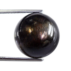 BLACK GOLDEN SUNSTONE ROUND CAB 16MM 14.73 Cts.