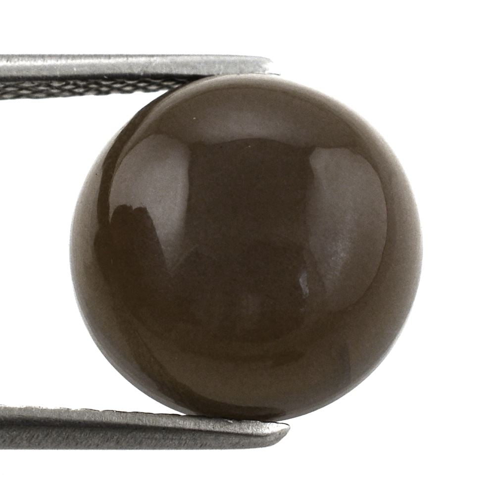 CHOCOLATE MOONSTONE ROUND CAB 12MM 6.65 Cts.