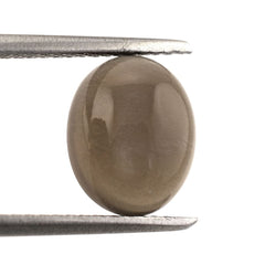CHOCOLATE MOONSTONE OVAL CAB 10X8MM 2.49 Cts.