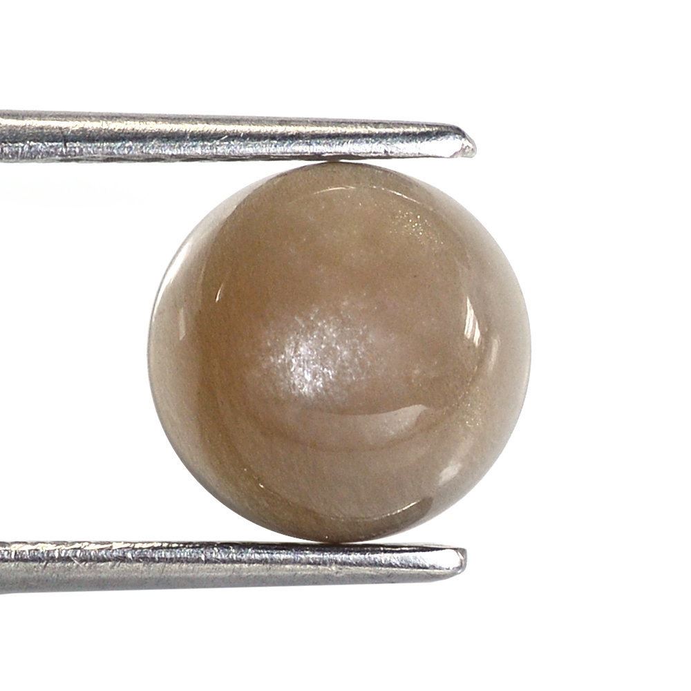 CHOCOLATE MOONSTONE ROUND CAB 10MM 3.27 Cts.