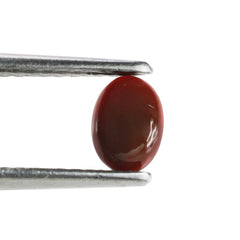 CHOCOLATE OPAL OVAL CAB 7X5MM 0.54 Cts.