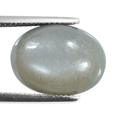 GREY MOONSTONE PLAIN OVAL CAB (SILVER GREY MEDIUM)16.00X12.00 MM 8.49 Cts.