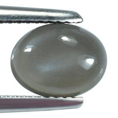 GREY MOONSTONE PLAIN OVAL CAB (DARK) 9.00X7.00 MM 1.81 Cts.