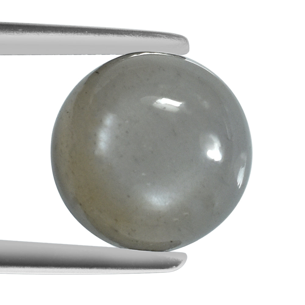 GREY MOONSTONE PLAIN ROUND CAB (SILVER GREY MEDIUM) 12.00X12.00 MM 6.27 Cts.