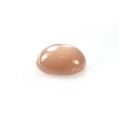 PEACH MOONSTONE CURVED ROUND CAB (MEDIUM/PEACH/CLEAN) 14.00X14.00 MM 10.10 Cts.