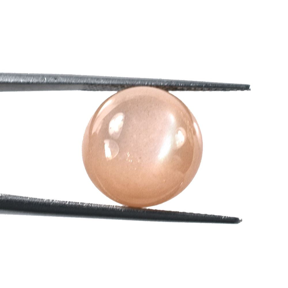 PEACH MOONSTONE CURVED ROUND CAB (MEDIUM/PEACH/CLEAN) 14.00X14.00 MM 10.10 Cts.