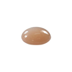 PEACH MOONSTONE CURVED ROUND CAB (MEDIUM)(CLEAN) 8.00X8.00 MM 1.85 Cts.