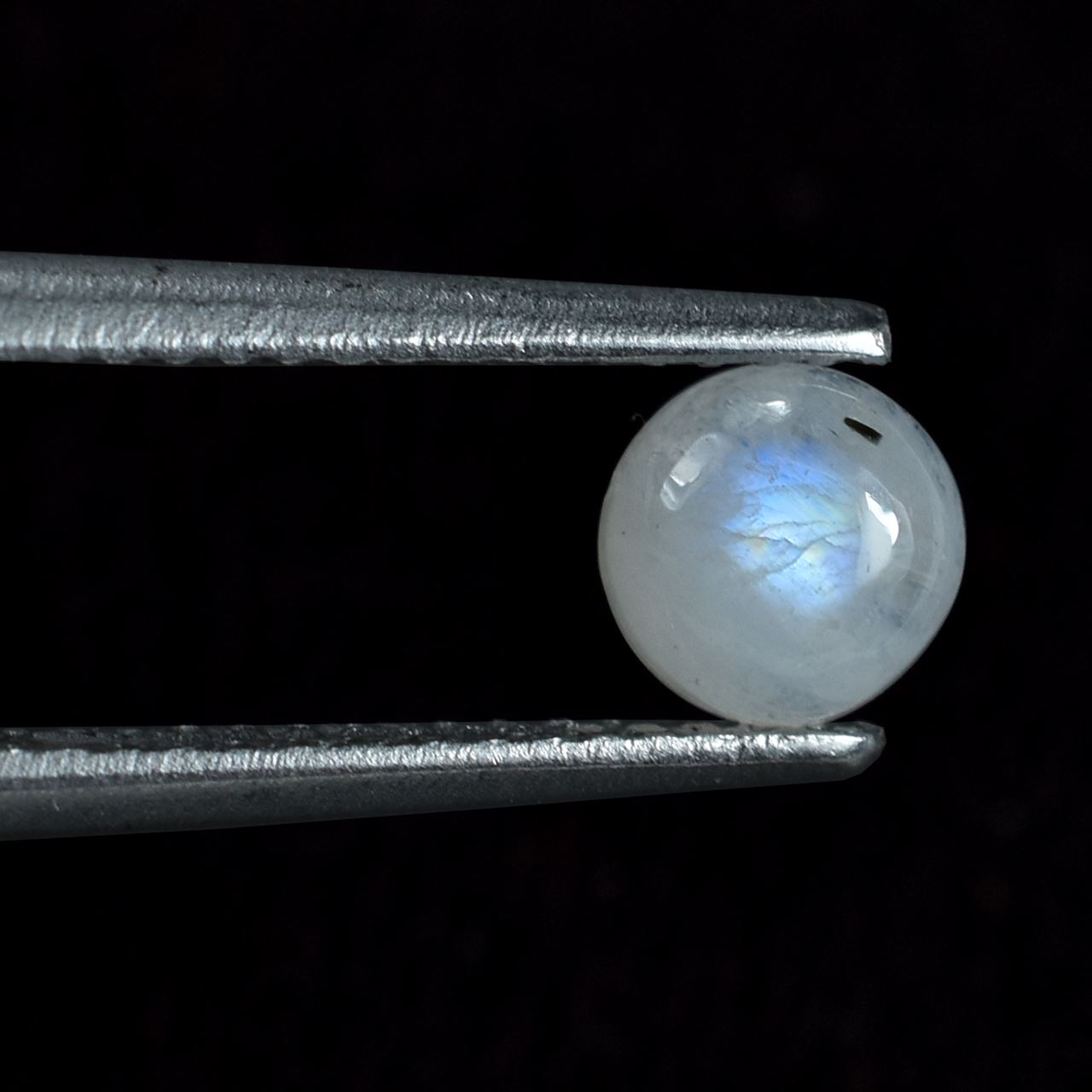 RAINBOW MOONSTONE PLAIN ROUND CAB (CLOUDY)(NICE BLUE SHINE) 5.00X5.00 MM 0.54 Cts.