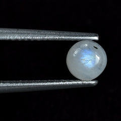 RAINBOW MOONSTONE PLAIN ROUND CAB (CLOUDY)(NICE BLUE SHINE) 5.00X5.00 MM 0.54 Cts.