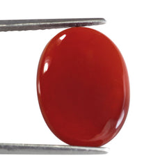 RED ONYX PLAIN OVAL CAB 20X15MM 9.30 Cts.