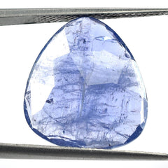 TANZANITE ROSE CUT BRIOLETTE TRILLIONISH (MILKY) 18X16MM 10.02 Cts.