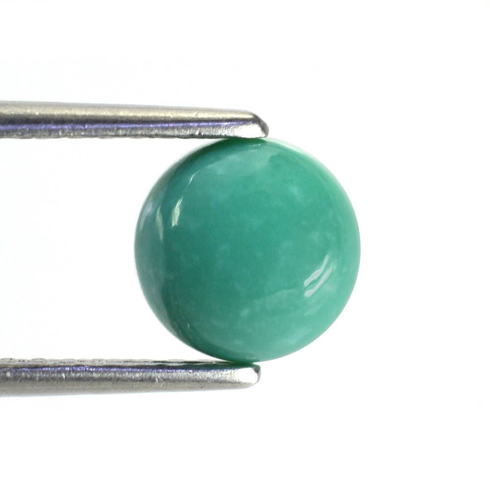 MEXICAN TURQUOISE ROUND CAB (SI) (GREEN) 8MM 1.96 Cts.