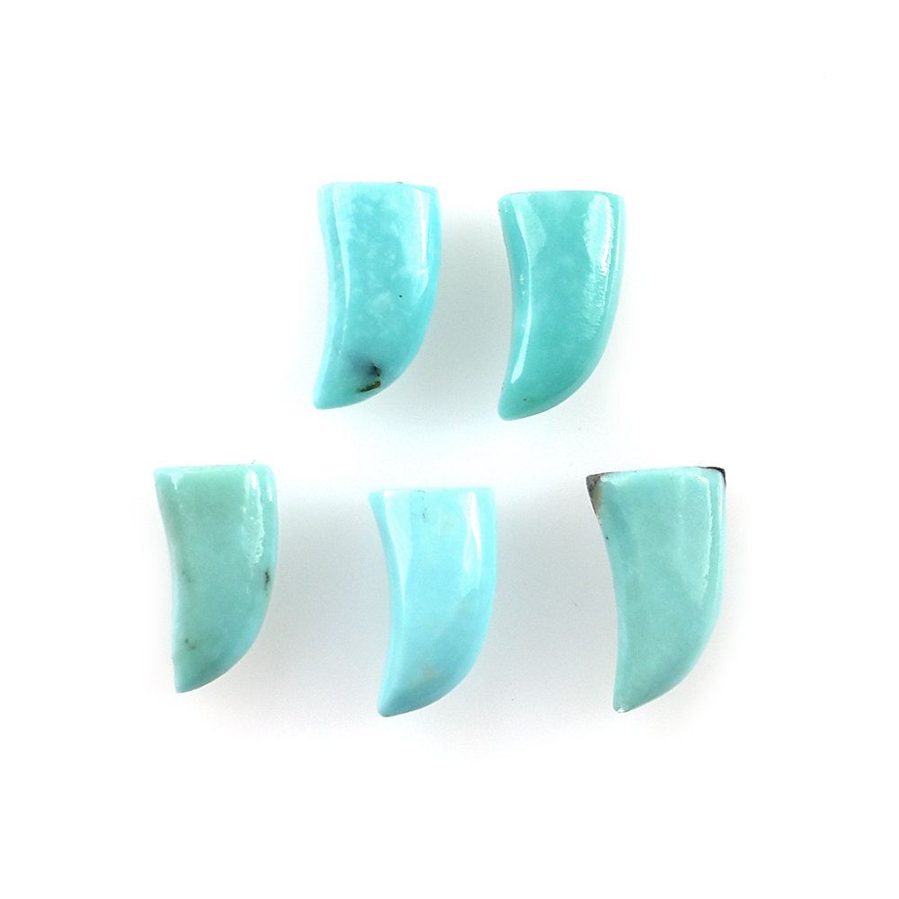 MEXICAN TURQUOISE HORN SHAPE 7.70X4.20MM 0.80 Cts.