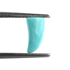 MEXICAN TURQUOISE HORN SHAPE 8.50X4.20MM 0.84 Cts.