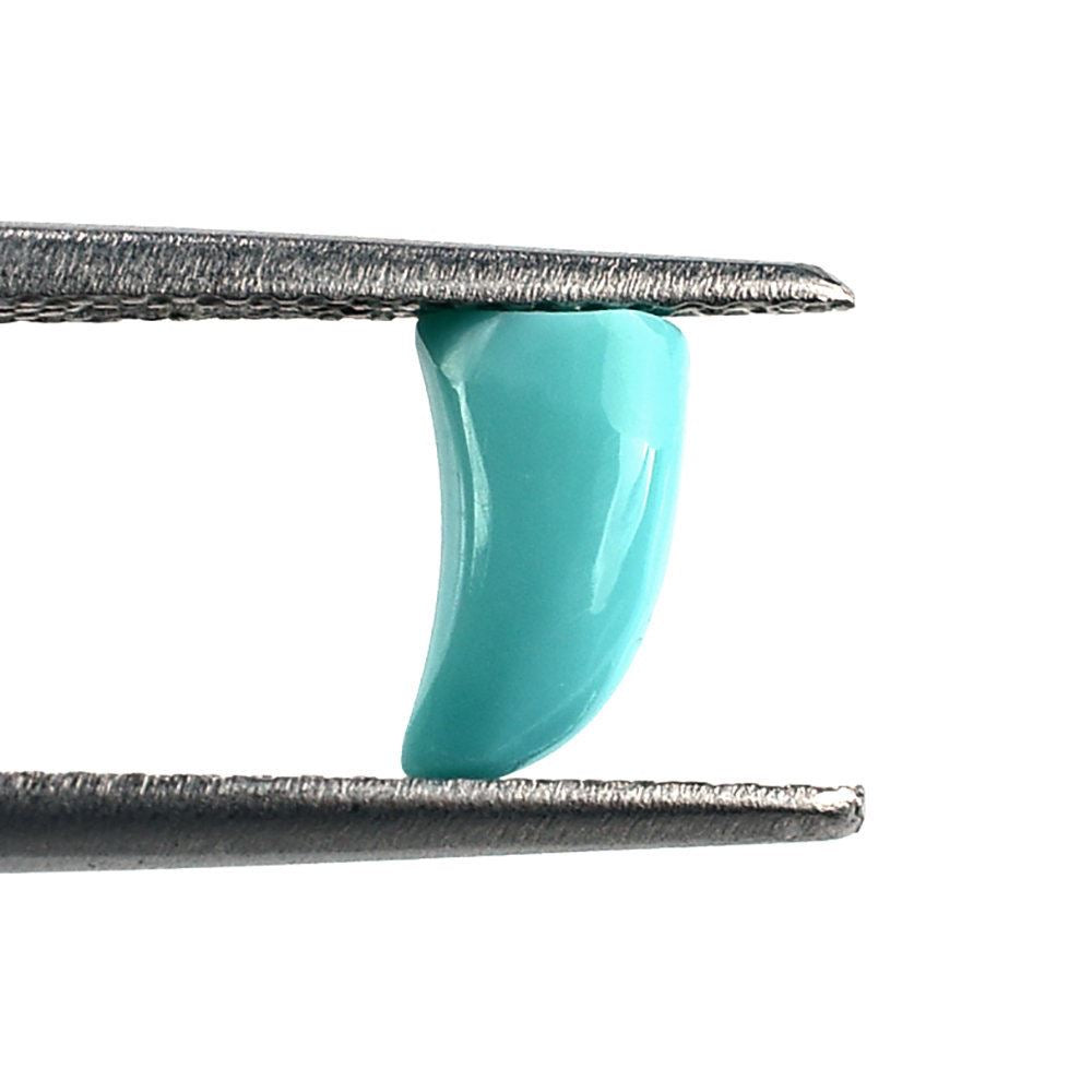 MEXICAN TURQUOISE HORN SHAPE 7X4MM 0.78 Cts.