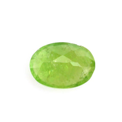 MILKY TSAVORITE GARNET CUT OVAL 7X5MM 1.10 Cts.