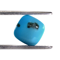 SLEEPING BEAUTY TURQUOISE PLAIN LENTIL CUSHION 9MM 2.10 Cts.