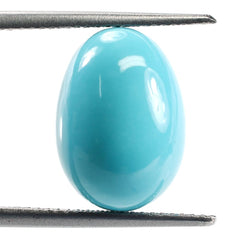 SLEEPING BEAUTY TURQUOISE PLAIN EGG SHAPE (BLUE GREEN/AAA) 14.50 X 10.50 MM 10.43 Cts.