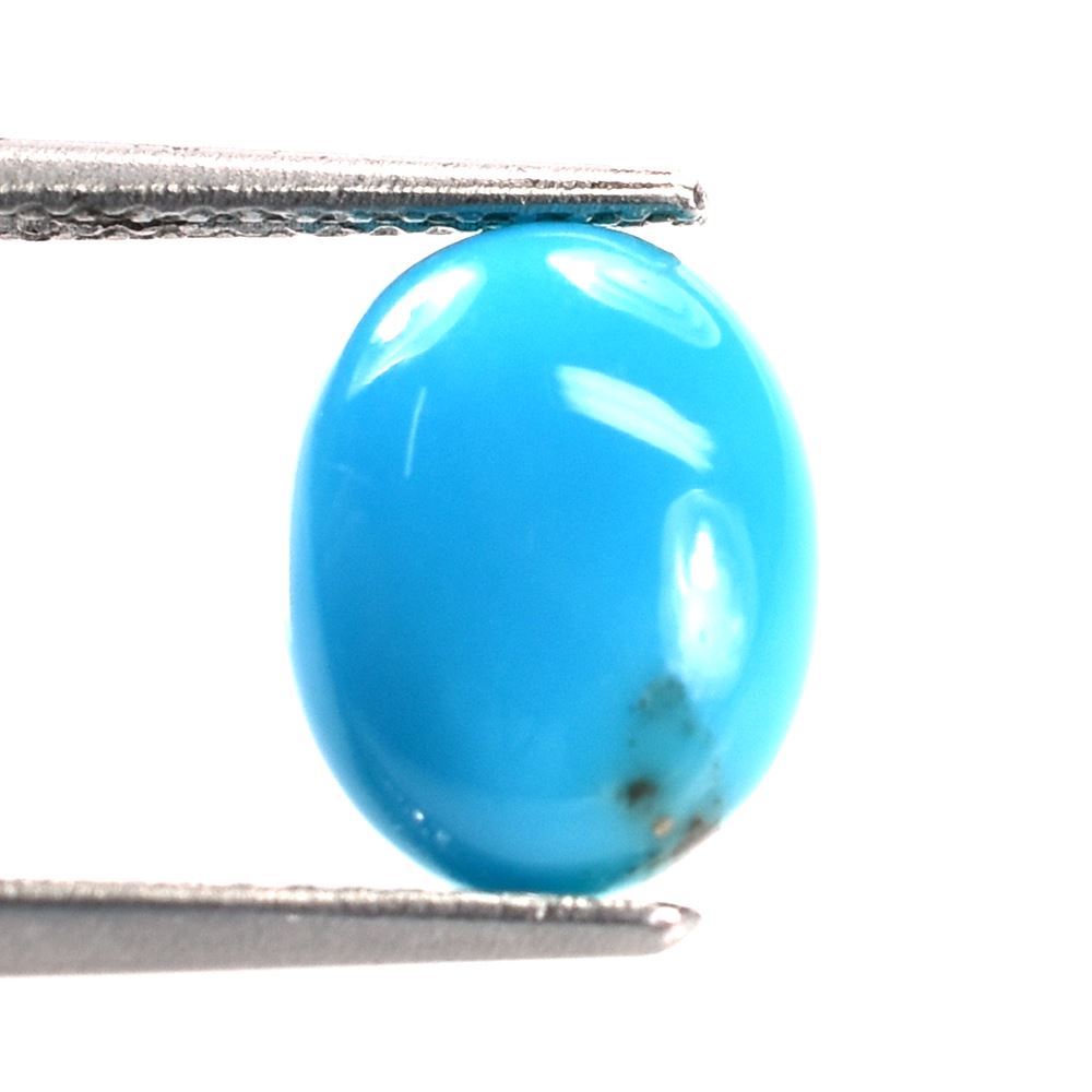 TURQUOISE PERSIAN WITH MATRIX PLAIN OVAL CAB (AAA) 10.00X8.00 MM 2.09 Cts.