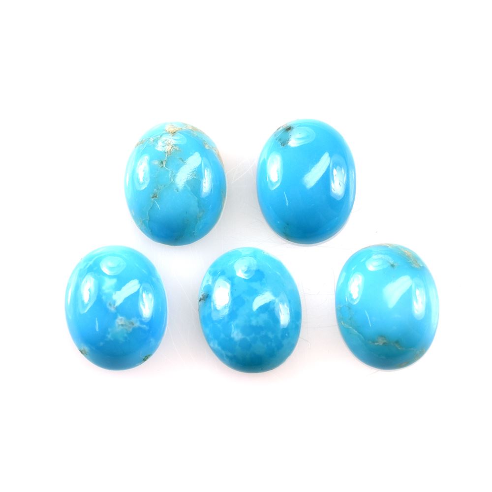 TURQUOISE PERSIAN WITH MATRIX PLAIN OVAL CAB (AAA) 10.00X8.00 MM 2.09 Cts.