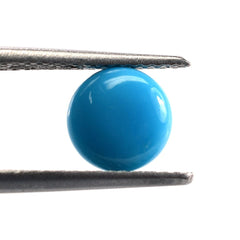 SLEEPING BEAUTY TURQUOISE PLAIN LENTIL ROUND (AAA) 7 X 7 MM 1.37 Cts.