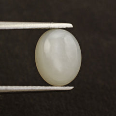 WHITE MOONSTONE OVAL CAB (MILKY) 10X8MM 2.69 Cts.