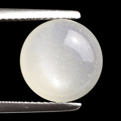 WHITE MOONSTONE (MILKY) CARVED BOTTOM ROUND CAB 11.00X11.00 MM 6.09 Cts.