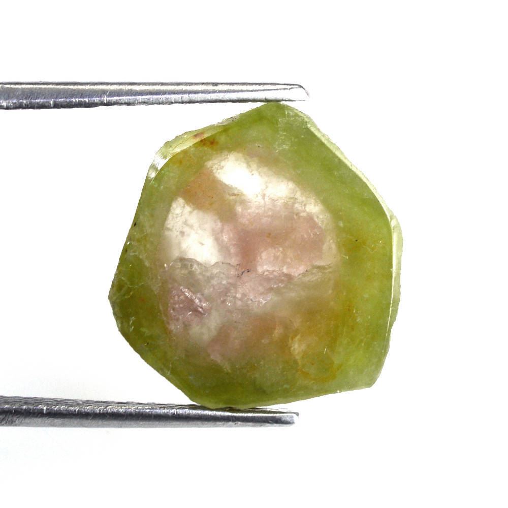 WATERMELON TOURMALINE FANCY SLICE 16.50X16MM 8.20 Cts.