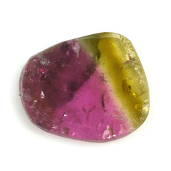 WATERMELON TOURMALINE SLICE 13X11MM 4.16 Cts.